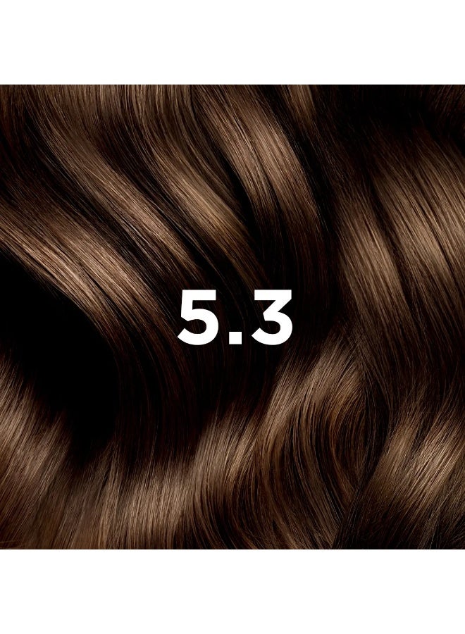 Phyto Paris Phyto Color Permanent Color - Hair Colour: 5.3 Golden Light Chestnut - Image 2